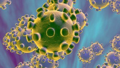 Coronavirus Image