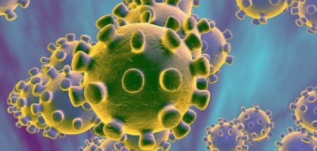 Coronavirus Image