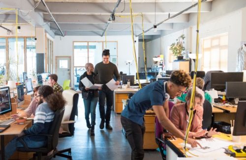 Young people at work