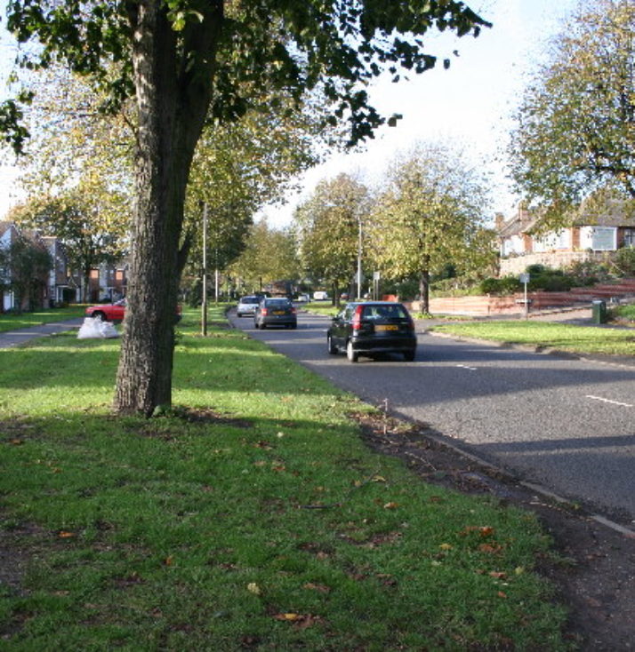 Anstey Lane - credit Kate Jewel